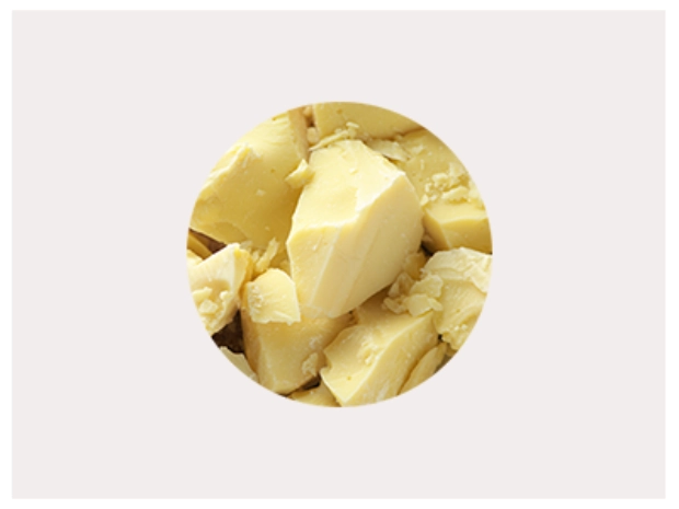 Morceaux de beurre de cacao