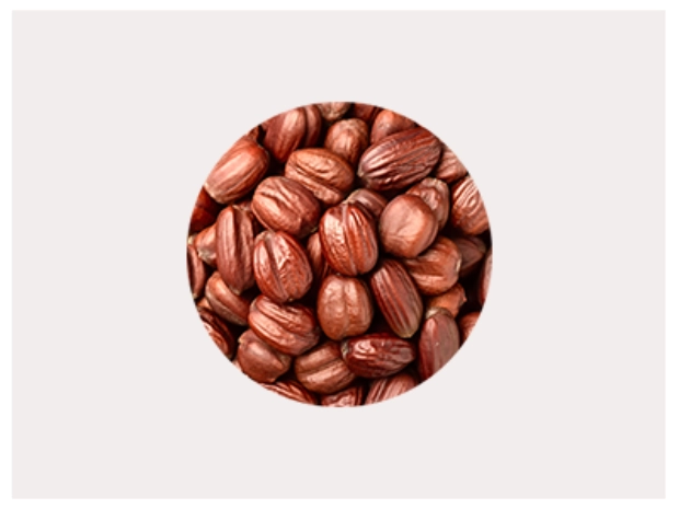 Graines de jojoba