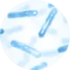 Close up lactic acid